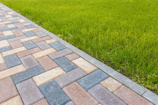 Best Driveway Paving Contractor  in Coldstream, KY